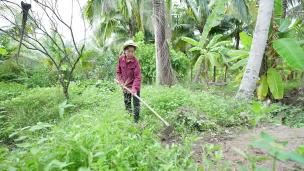 Concepto Agrícola Resolución Agricultores Cortando Hierba Jardín — Vídeos de Stock