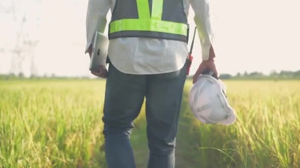 4K解像度のエンジニアコンセプト 従業員は牧草地を歩いている — ストック動画