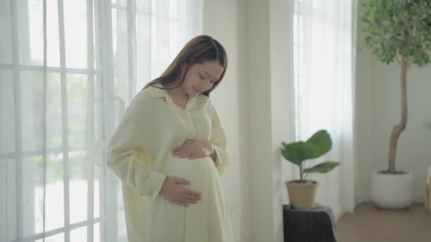 Concepto Mujer Embarazada Resolución Mujer Asiática Cuidando Misma Casa — Vídeo de stock