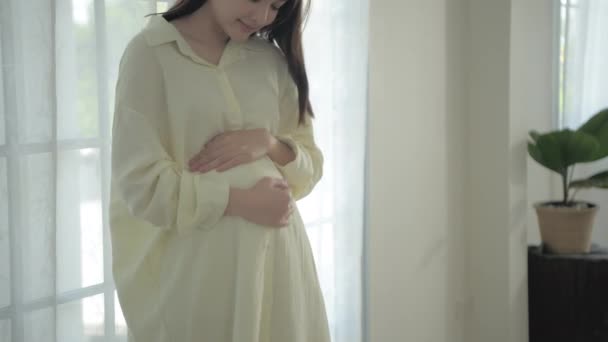 Concepto Mujer Embarazada Resolución Mujer Asiática Cuidando Misma Casa — Vídeos de Stock