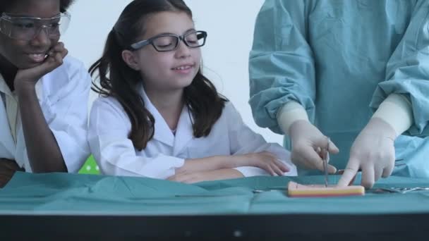 Concept Éducation Résolution Étudiants Médecine Pratiquant Suture Des Plaies Classe — Video