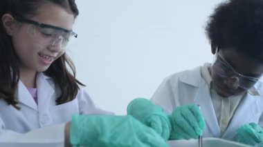 Eğitim konsepti 4k Kararlılık. Araştırmacılar bir laboratuarda kurbağaları inceliyorlar..