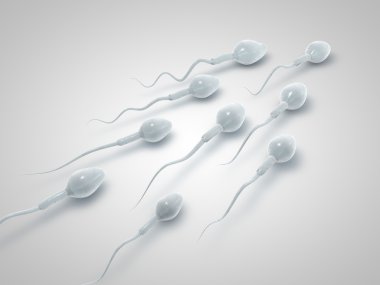 Donmuş spermatozoon. Beyaz arka plan üzerinde ovule için yüzme sperm 3D Illustration. Minimalist. Sperm Bankası.