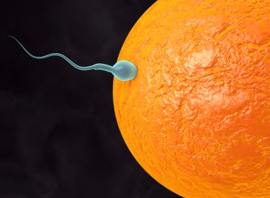 sperm ve verimli insan yumurta 3D çizimi. Fecundation. Döllenme kavramı. İn vitro fertilizasyon