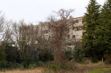 Soğuk savaş döneminden kalma açık mavi arka planda, terk edilmiş soğuk savaş döneminden kalma otel binasının önündeki koyu yeşil çam ağaçlarıyla karışık, yapraksız, tüyler ürpertici ağaçlar.