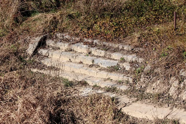 Старая Открытая Лестница Камня Бетона Берегу Реки Покрытая Густой Заросшей — стоковое фото