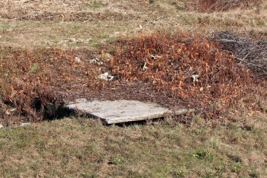 Çatlamış eski, paslı metal kancalarla kaplı eski, sert beton rögar kapağı neredeyse tamamen kurumuş yapraklar ve dallarla kaplı sıcak kış günlerinde yerel tarlada kesilmemiş çimlerle çevrili.