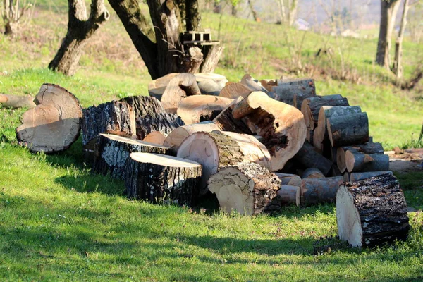 Pile Grandes Parties Arbres Hachées Laissées Sur Herbe Non Coupée — Photo