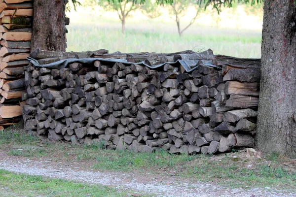 Doucement Empilés Dernier Vieux Bois Chauffage Entre Deux Grands Arbres — Photo