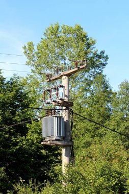 Yüksek beton elektrik direğine monte edilmiş kahverengi seramik yalıtımlı gri metal elektrik güç transformatörü ve açık mavi gökyüzü arka planında yoğun ağaçlarla çevrili yerel ormandaki çoklu elektrik kablolarına bağlı.