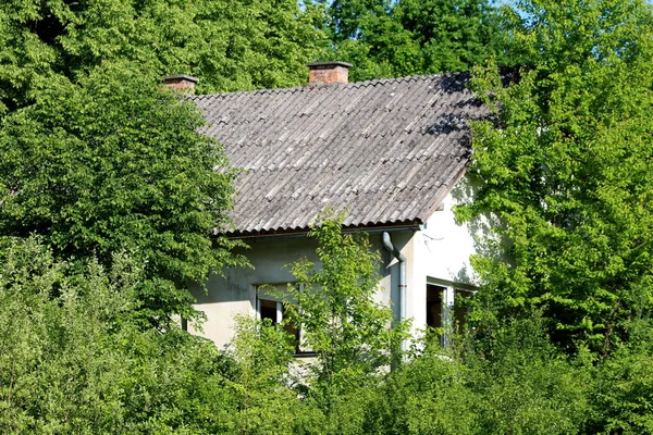 Terk edilmiş, küçük, beyaz bir banliyö aile evi. Paramparça camları ve kırık camları var. Ormanın ortasına inşa edilmiş eski çatı kiremitleriyle kaplı.