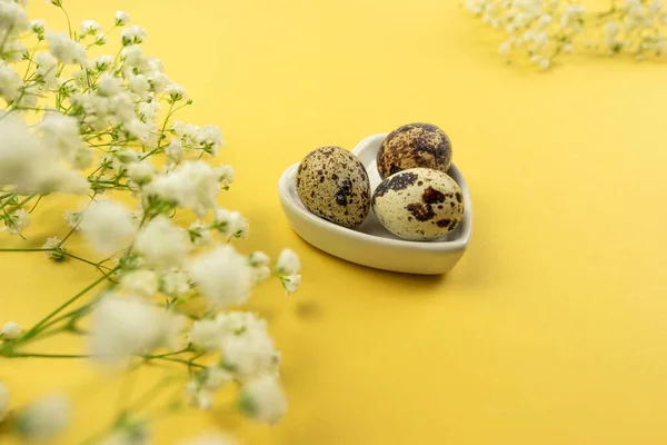 Ovos Páscoa Codorniz Estão Uma Chapa Branca — Fotografia de Stock