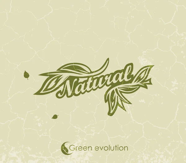 Vintage grön bakgrund med ordet naturlig — Stock vektor