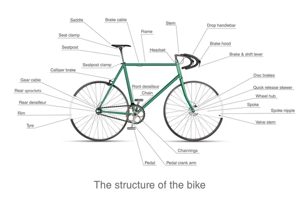 Struktur av olika hastighet cykel — Stock vektor