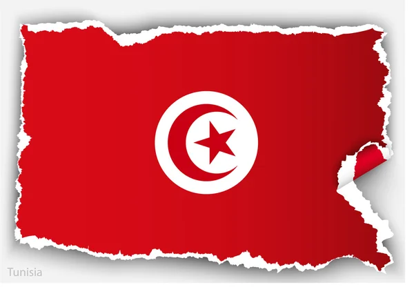 Design flag of Tunisia — Stock Vector