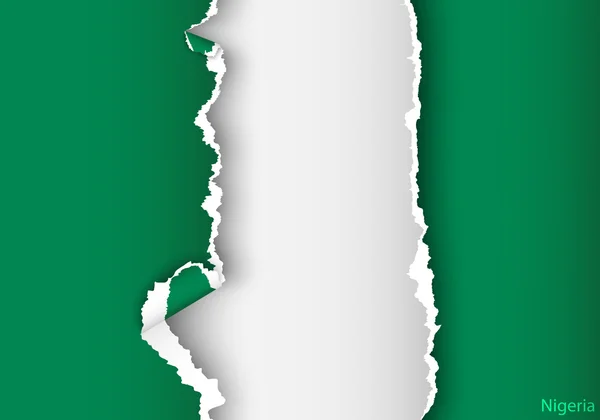 Bandeira do projeto de Nigéria — Vetor de Stock