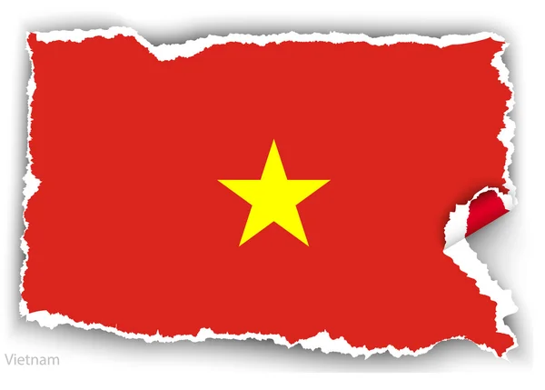 Bandeira do projeto de Vietnam — Vetor de Stock