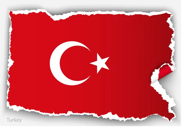 Σχεδιασμός σημαία της Τουρκίας — Διανυσματικό Αρχείο