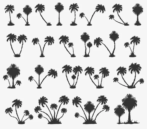 Векторный набор пляжей солнечной пальмы — стоковый вектор