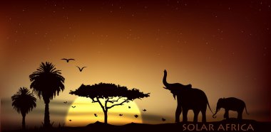 savannah ile Afrika filleri ve ağaçlar üzerinde gündoğumu