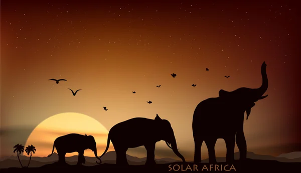 Lever et coucher du soleil sur la savane — Image vectorielle