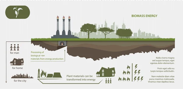 Energía renovable procedente de la energía de biomasa — Archivo Imágenes Vectoriales