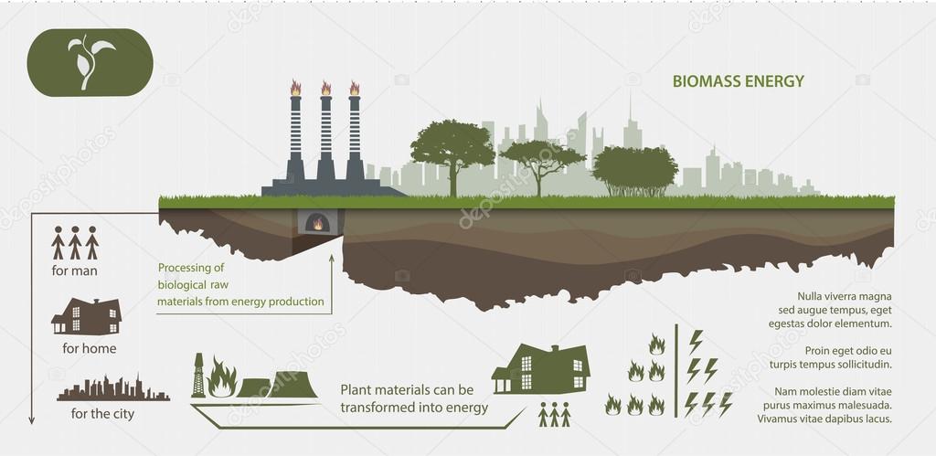 Renewable energy from biomass energy