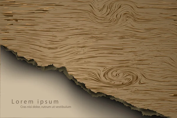 Morceau de bois déchiré — Image vectorielle