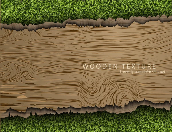Plantilla para texto de fondo de madera — Vector de stock