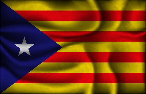 Bandera de catalonia en la pared — Archivo Imágenes Vectoriales