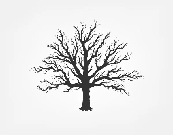 Tree with dry branches — Stock Vector
