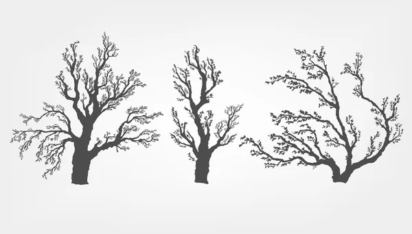 Conjunto de siluetas de árboles — Vector de stock