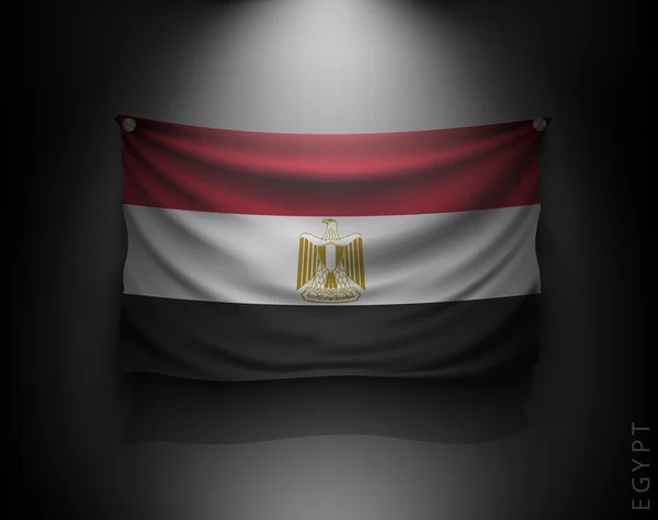 挥舞着国旗的埃及 — 图库矢量图片