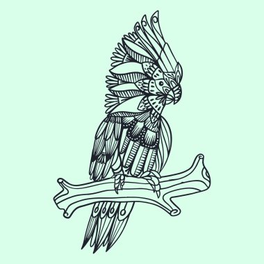 El çizimi kakadu karalama vektör çizimi