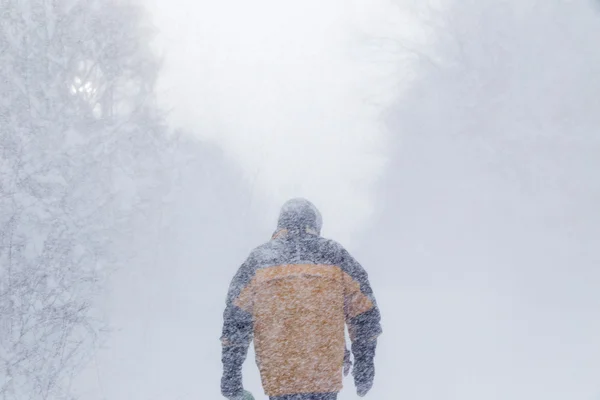 Man walking ciężki śnieg burzę — Zdjęcie stockowe