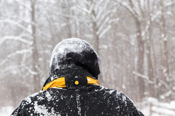 雪に覆われた森林に入る謎の男 ストックフォト