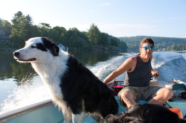 Dog loves fishing boat clipart