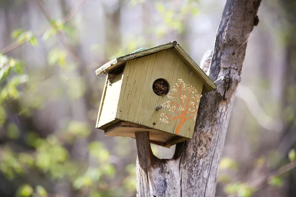 Zöld birdhouse — Stock Fotó