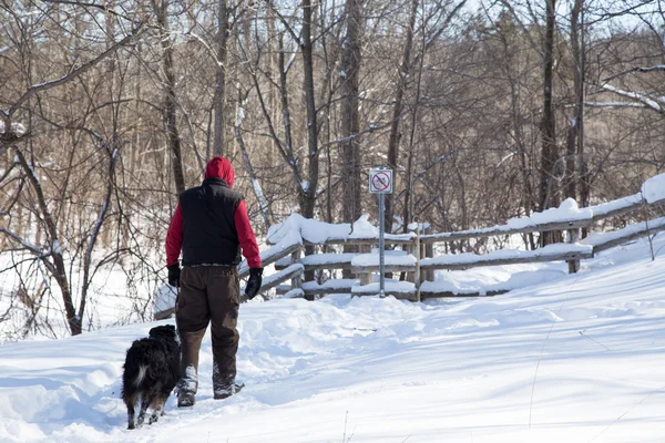 Hombre caminando con perro en la nieve Imágenes de stock libres de derechos