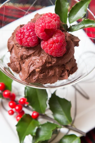 クリスマスのチョコレート デザート — ストック写真