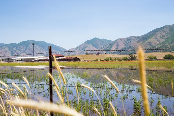 Montanhas reflexão terras agrícolas Utah Fotografia De Stock