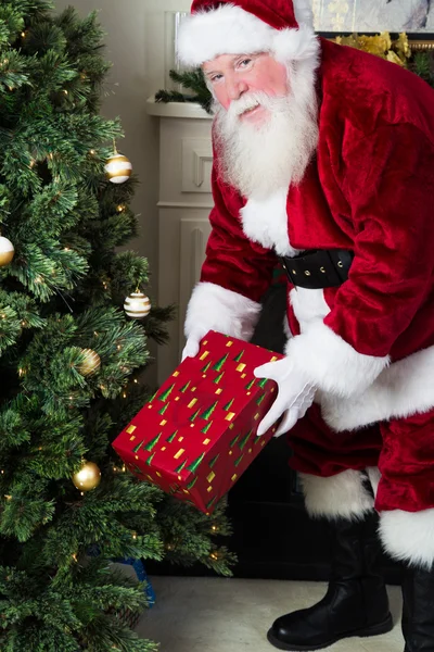 Santa places gift under tree — Stock Photo, Image