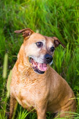 Güzel büyük çukur bill cross