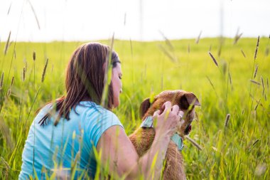 sessiz zaman açık havada ile köpek