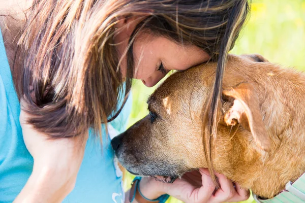 Mulher e cão consolar uns aos outros — Fotografia de Stock