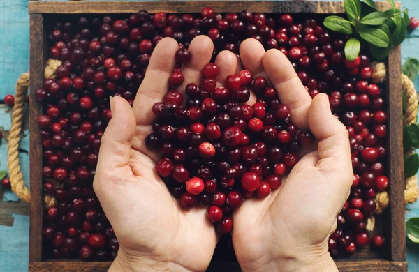 Φρέσκο Βιολογικό Cranberry Στα Χέρια Της Γυναίκας Και Ξύλινο Κουτί — Φωτογραφία Αρχείου