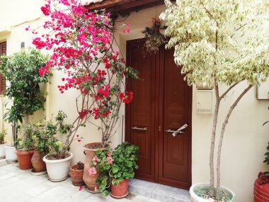 geleneksel sokak amoung bougainvillaea rethymno şehir Yunanistan