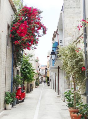 geleneksel sokak amoung bougainvillaea rethymno şehir Yunanistan