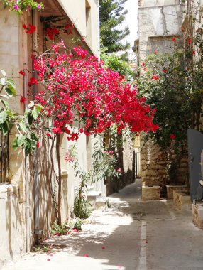 traditional street amoung bougainvillaea in rethymno city Greece clipart