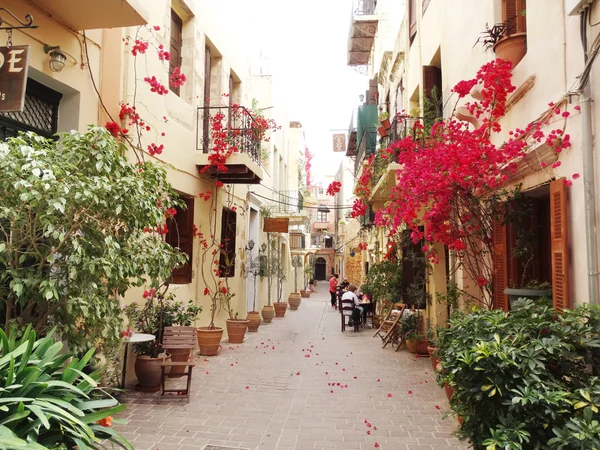 geleneksel sokak amoung bougainvillaea chanya şehir Yunanistan 